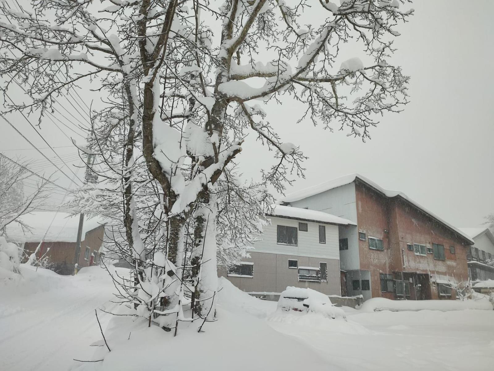 Peuf Lodge Отари Экстерьер фото